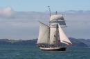 Old Sailing Boat: Just loved the Old Sailing Boat in the Bay of Islands